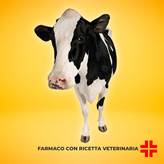 NEO SPRAY CAF (200 ml) - Per le infezioni podali di bovini, ovini e suini