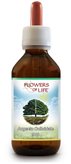 Flowers Of Life Argento Colloidale 940 250ml