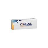 Abiogen Pharma Cingal Siringa Preriempita 4ml