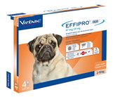 Effipro duo cane spot-on 67 mg 2-10 kg 4 pipette