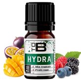 Hydra ToB Aroma Concentrato 10ml Frutti Rossi Tropical Mix