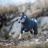 Hurtta Extreme Overall tuta termica invernale per cani - Taglia / Misura : 55 M