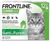 Frontline combo gatti