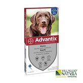 Advantix Spot-on per Cani da 25 a 40 Kg - CONFEZIONE DA 6 pipette x 4,0 ml