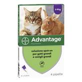 Advantage Spot On 80 mg Gatti/Conigli 4 pipette - Antiparassitario per gatti