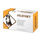 SILIFORT (30 cpr) - Sostegno della funzionalità epatica