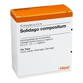 Heel Solidago Compositum  10 Fiale Da 2,2ml