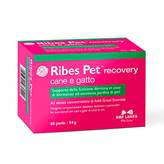 RIBES PET RECOVERY (60 perle) - Contro le dermatosi e perdite di pelo