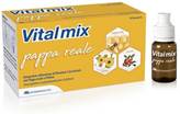 Vitalmix Pappa Reale 10 Flaconcini 10ml Senza Glutine
