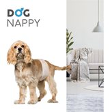 Dog Nappy Fascia Maschi per Cani - M 40-50cm, 12