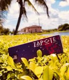 Zapote Vaper's Mood Liquido Mix Series  - Aroma Mix e Vape