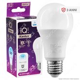 Kanlux IQ Lampadina LED E27 15W Bulb A60 Dimmerabile - mod. 27293