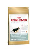 ROYAL CANIN PASTORE TED. JUNIOR 12 KG